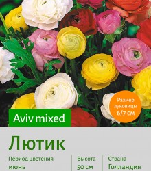  Лютик (Ranunculus) Aviv mixed